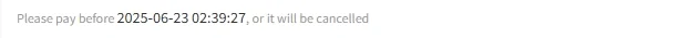A single line of small type beneath a checkout heading, reading: Please pay before 2025-06-23 02:39:27, or it will be cancelled.